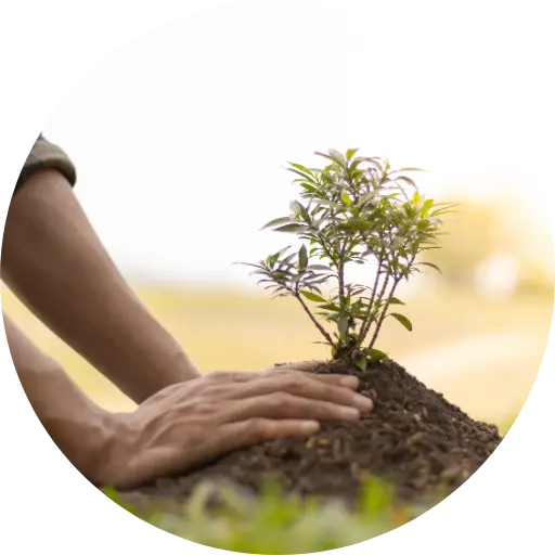 Coaching és vezetőfejlesztés