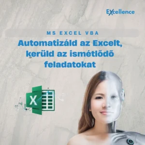 MS Excel VBA (2026)
